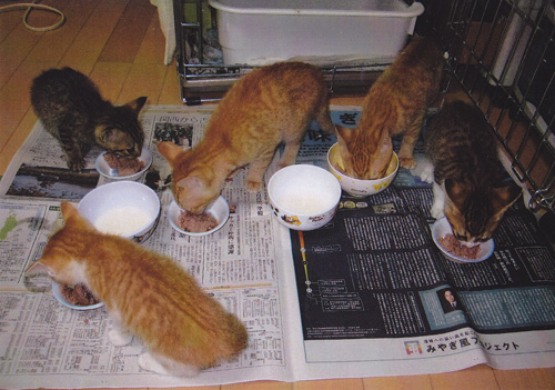 写真7
