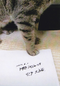 写真2