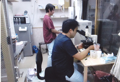 受付は午後6時までですが、野良猫がやっと捕まって遅くなる日も、、、獣医さん、看護師さんに感謝です。
