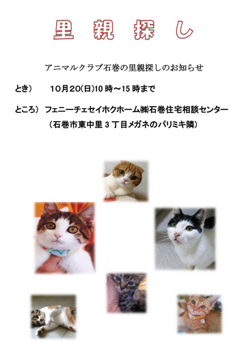 里親探し2013.10