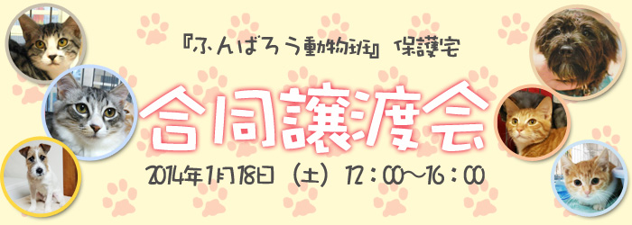 合同譲渡会