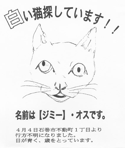 五井さんが作った《たずね猫》のポスター