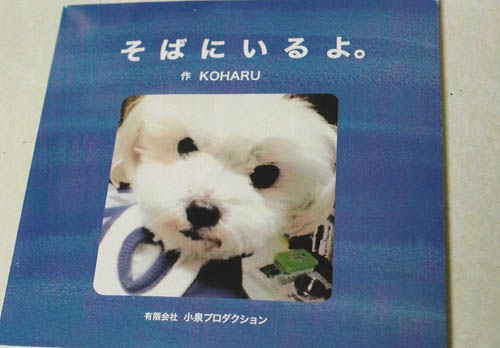 亡き愛犬への想いと願いを心のままに綴った『そばにいるよ』