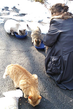 「みんな連れて帰れればいいんだけどねー。」餌やりさんの心境は複雑です。