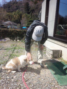 長年暮らした家族よりも、今日会ったおじいさんが自分を大事にしてくれる人だとわかったかのように、言うことを聞いていました。