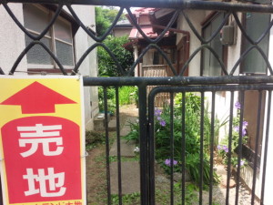 石巻市内には空き家が多く、野良猫の住処になっている。