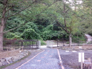 公園になった山。リコ、マメコ、クララのお墓はどこか、もうはっきり分からない。