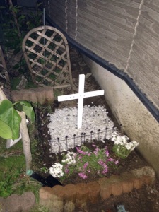 image-3