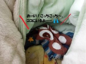 うそ③