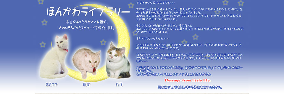 ほんかわライブラリー