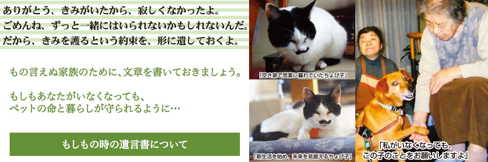 遺言書について